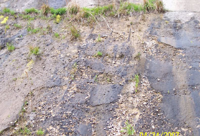 Spalling and disintegration of concrete