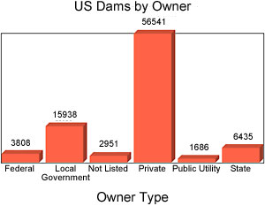United States Dams by Owner bar graph: Federal-3808, Local Gov't-15938, Not listed-2951, Private-56541, Public Utility-1686, State-6435